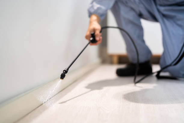 Licensed Fumigation Services service in Rapid City, MI - Nex Pest Control