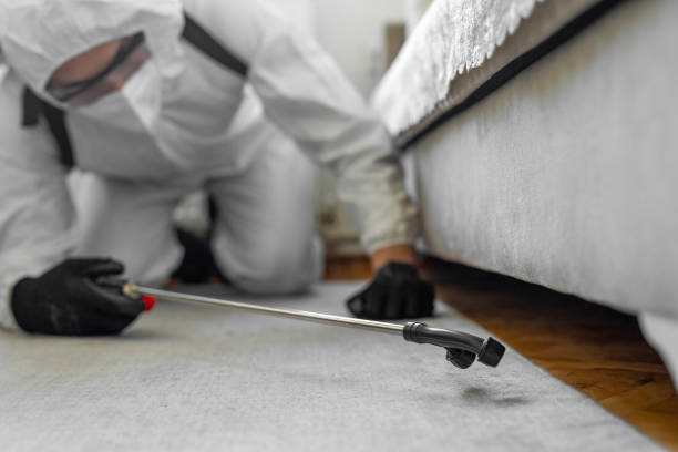 Professional Fumigation Services technician working in Rapid City, MI