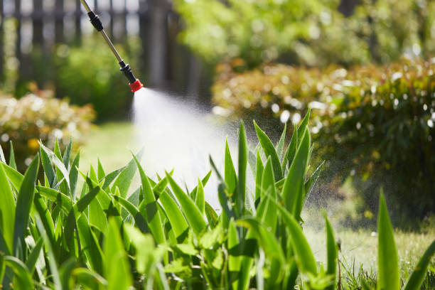 24/7 Emergency Fumigation Services experts in Rapid City, MI