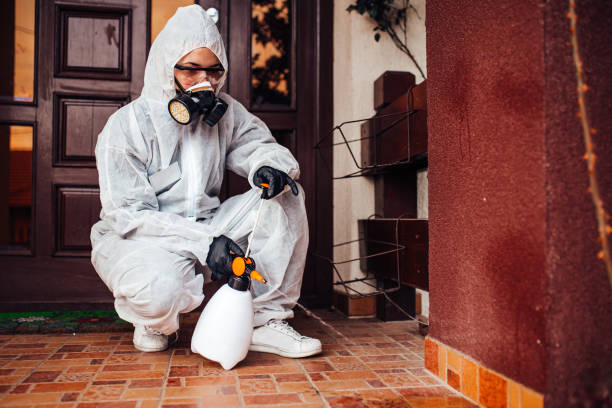 Reliable Fumigation Services contractor in Rapid City, MI by Nex Pest Control