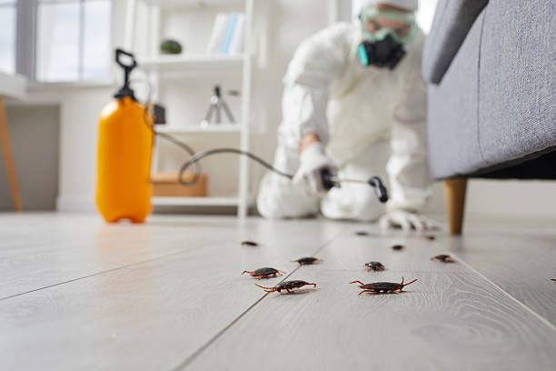 Trusted Fumigation Services service in Rapid City, MI - Nex Pest Control